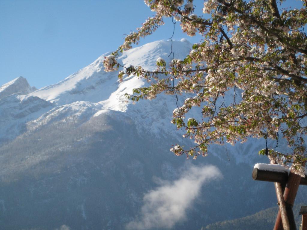 Ramsau bei Berchtesgaden Hotel-Gasthof Nutzkaser מראה חיצוני תמונה